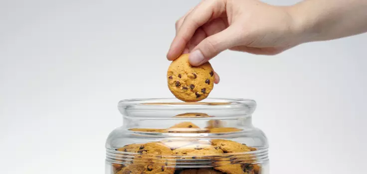 Mind-Set_CookieJarCheating.jpg