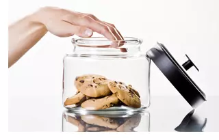 article_brain-mentalhealth_handincookiejar.jpg