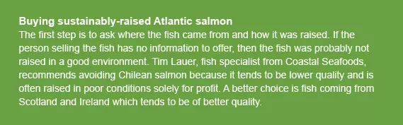 article_delidetective_buysustainablesalmon_callout.jpg