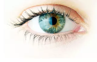 article_other_eye.jpg