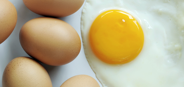 CholesterolGuidelines_Eggs.jpg