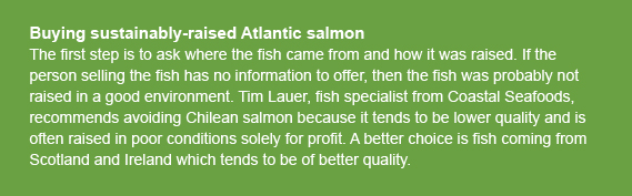 article_delidetective_buysustainablesalmon_callout.jpg