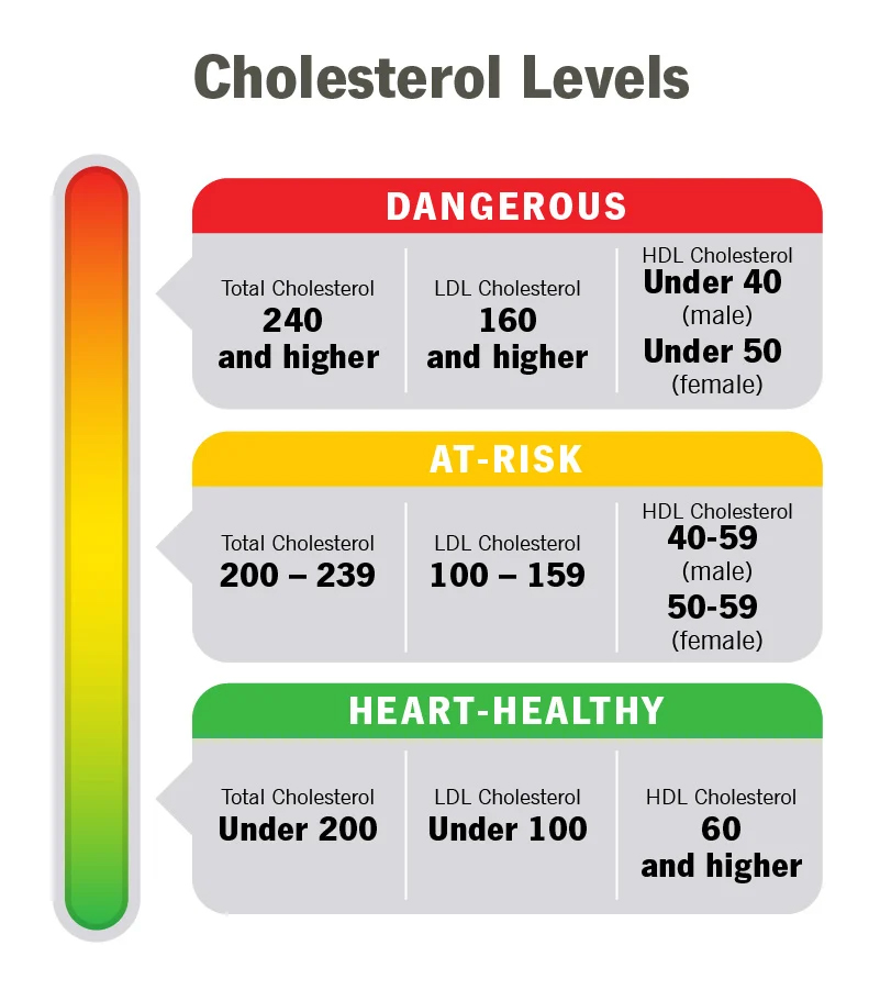 cholesterol chart