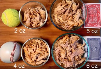 Pulled Pork Portions visual.jpg