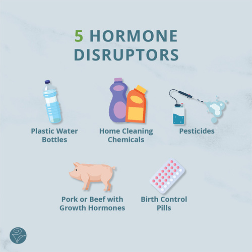 Hormone Disruptors Social Media Graphics.jpg